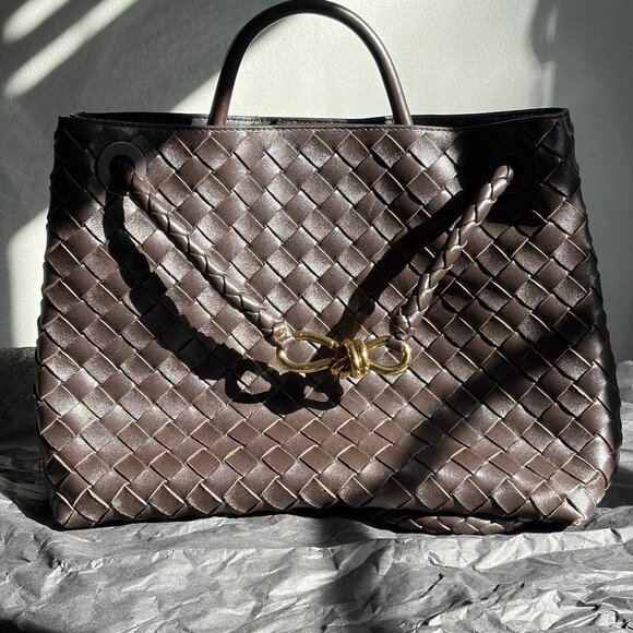 Bottega Veneta Andiamo Bag in Medium size (Brown) - Picture 1 of 12